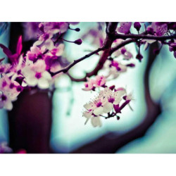 Mediocre Cotton Keyboard fr-FR